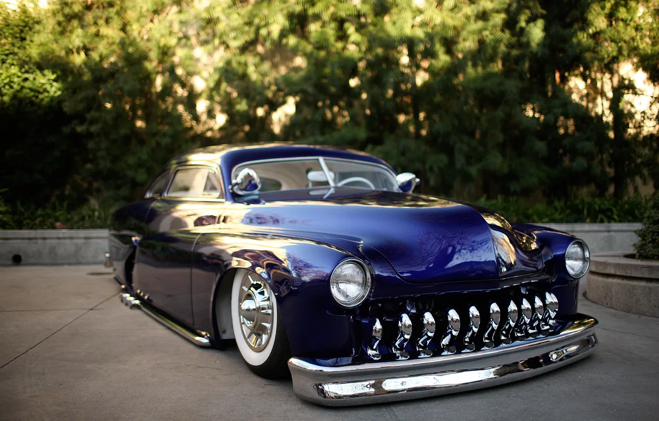 Photo wallpaper trees, Parking, Lead Sled