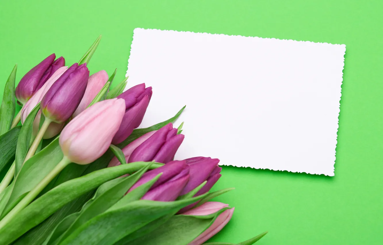 Photo wallpaper bouquet, tulips, pink, fresh, pink, flowers, romantic, tulips