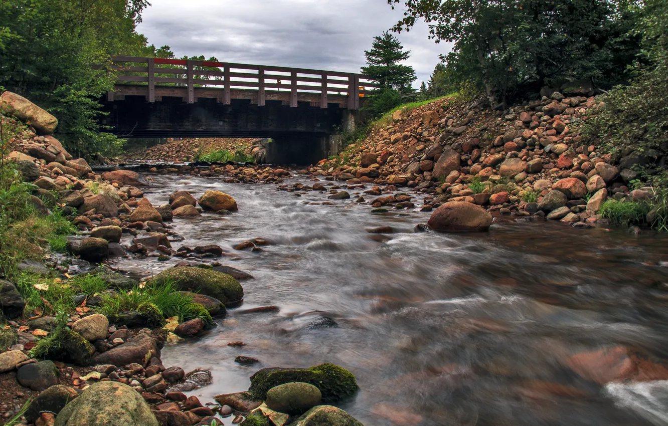 Photo wallpaper trees, bridge, stream, stones, Canada, Quebec