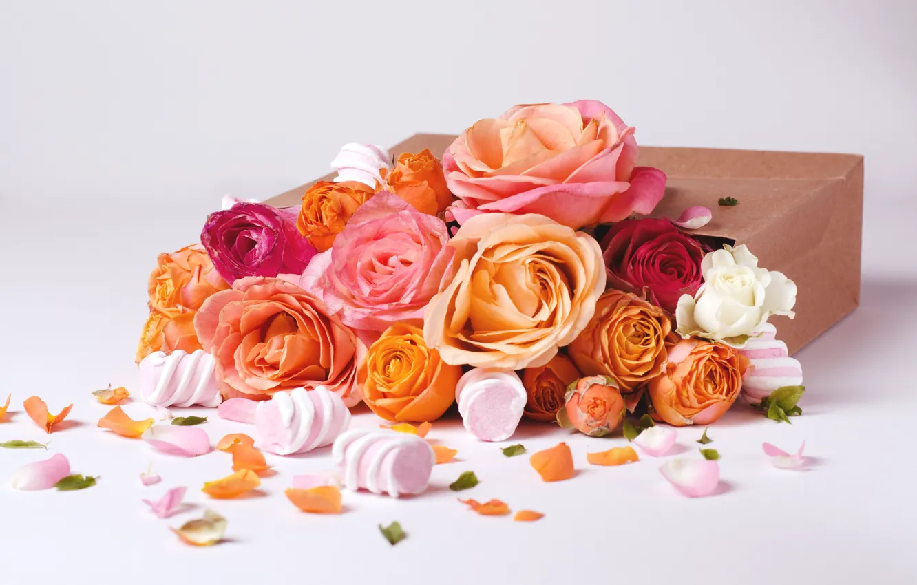 Photo wallpaper flowers, box, roses, petals, buds