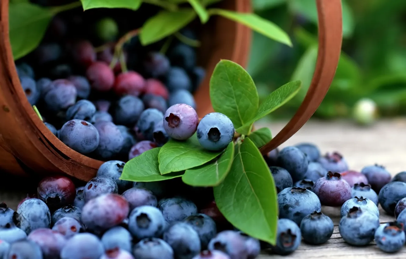 Photo wallpaper berries, basket, blueberries