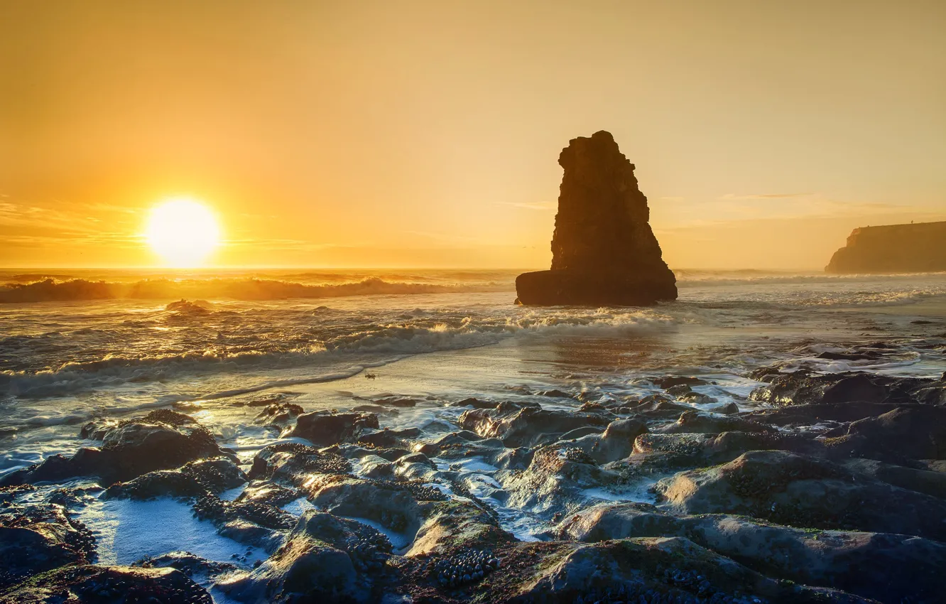 Photo wallpaper sea, wave, the sky, the sun, light, sunset, fog, stones