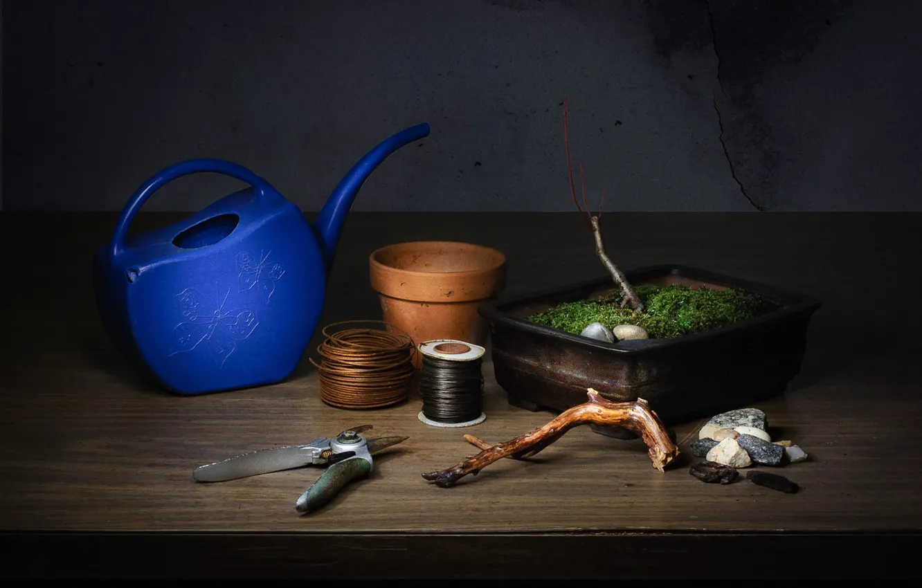 Photo wallpaper table, wire, lake, still life, items