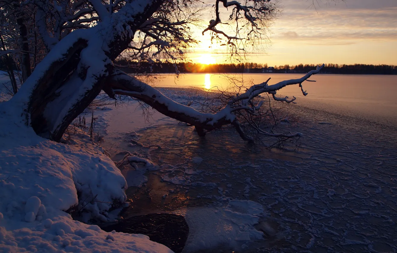 Photo wallpaper winter, the sky, snow, trees, sunset, river