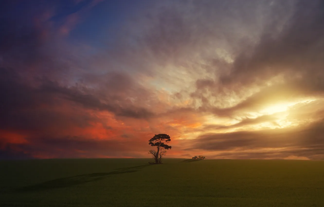 Photo wallpaper field, clouds, trees, sunset, tractor, pine