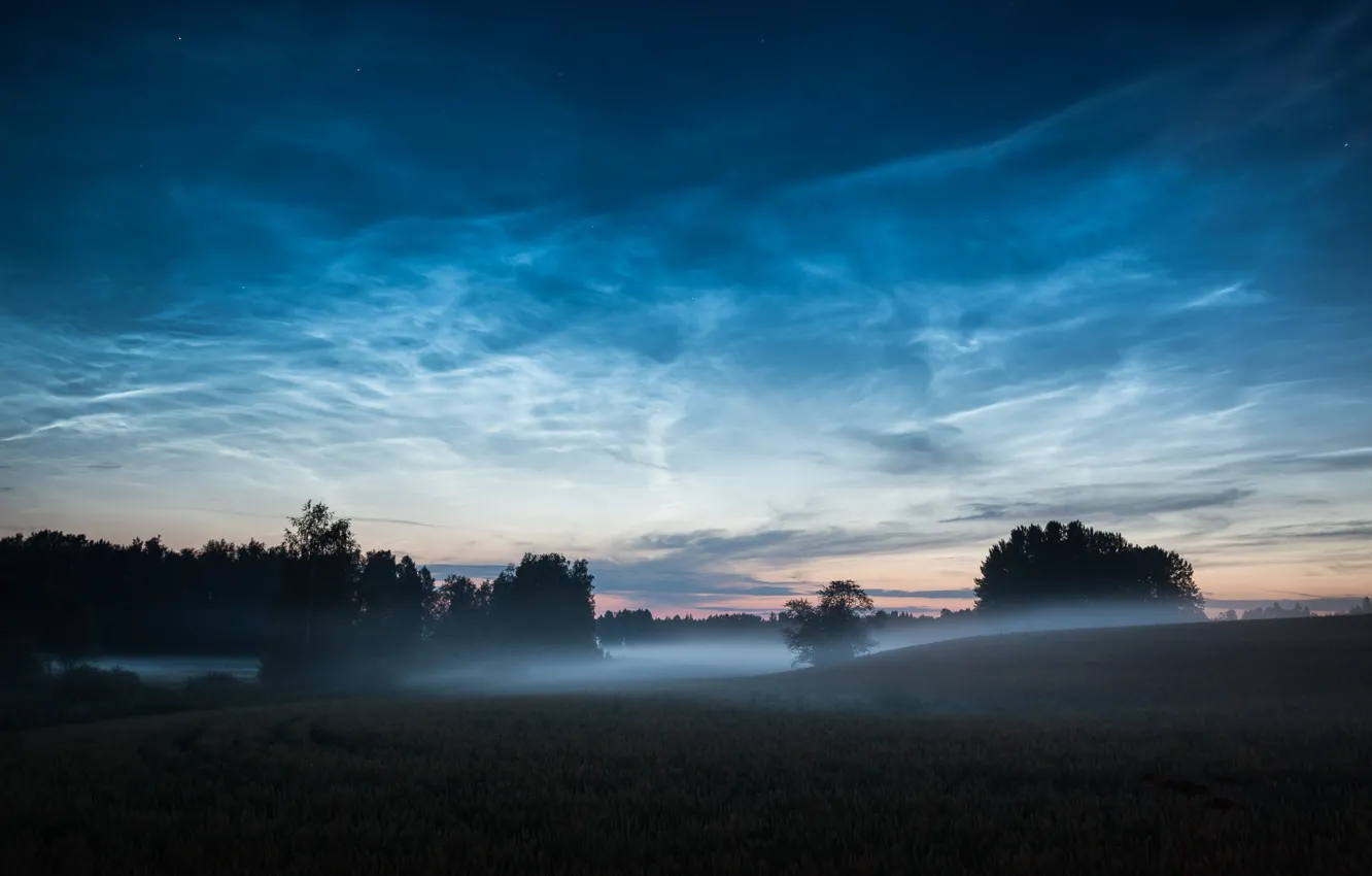 Photo wallpaper trees, fog, dawn, hills, morning