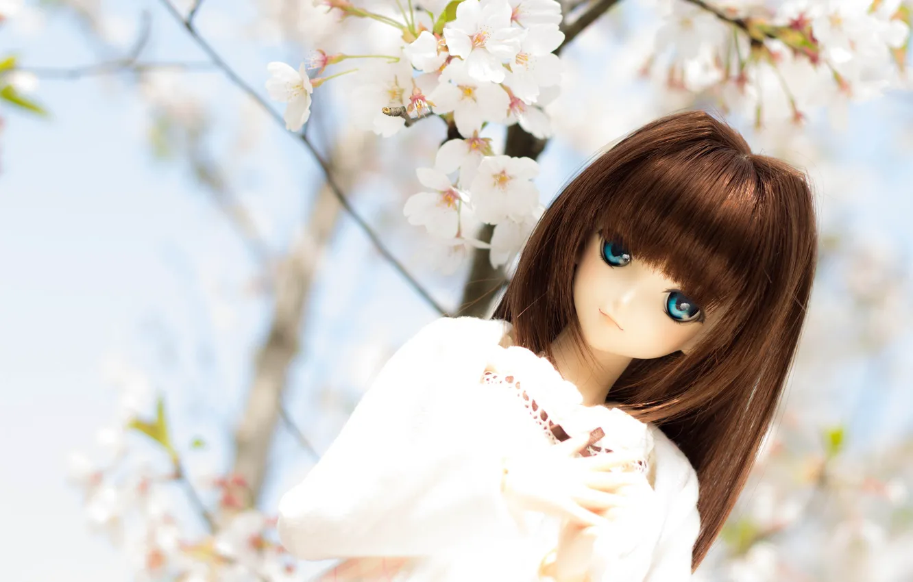 Photo wallpaper spring, doll, Sakura