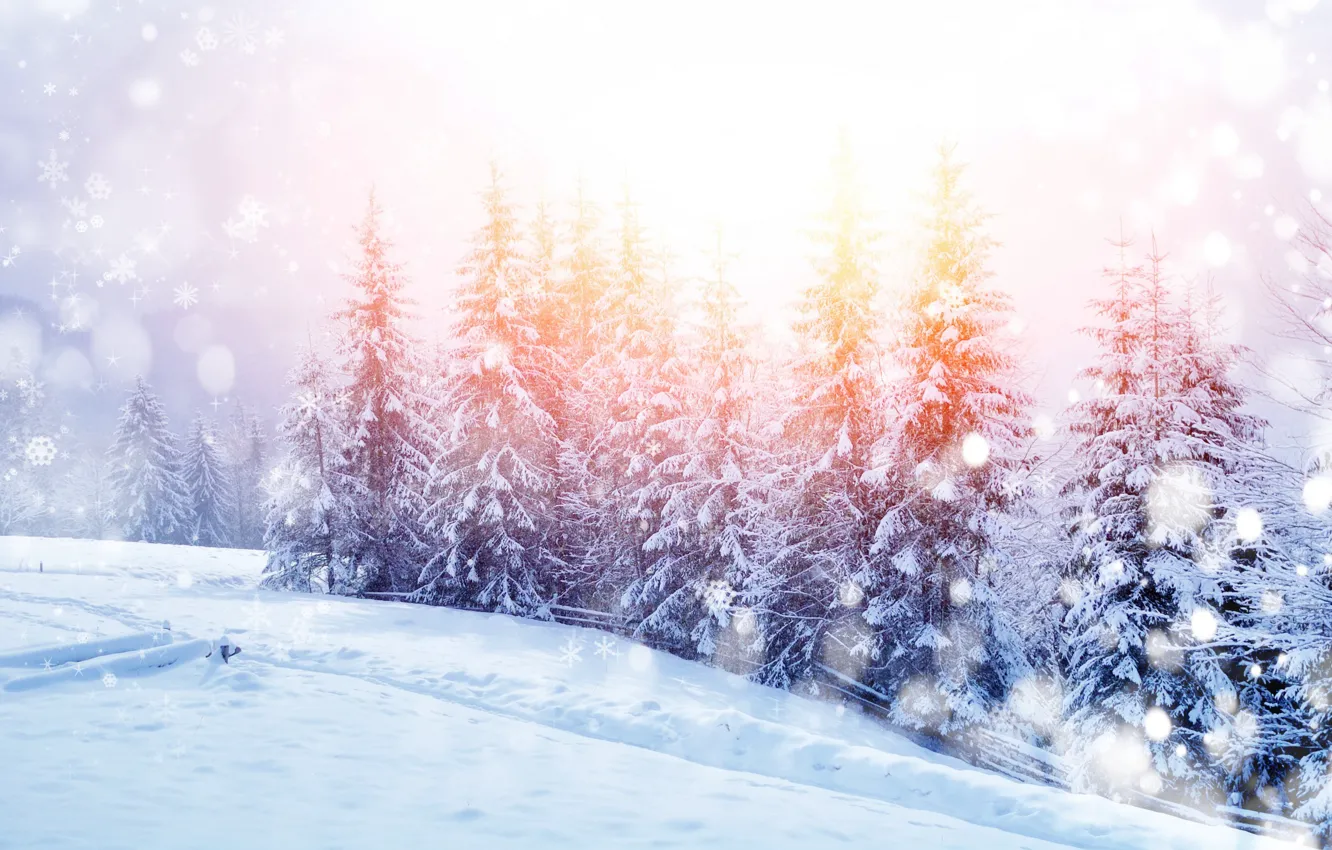 Photo wallpaper winter, snow, trees, landscape, mountains, nature