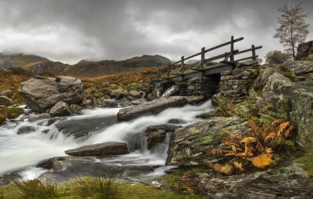 Photo wallpaper bridge, river, stream