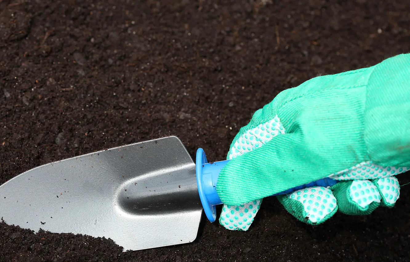 Photo wallpaper earth, hand, gloves, shovel, gardening