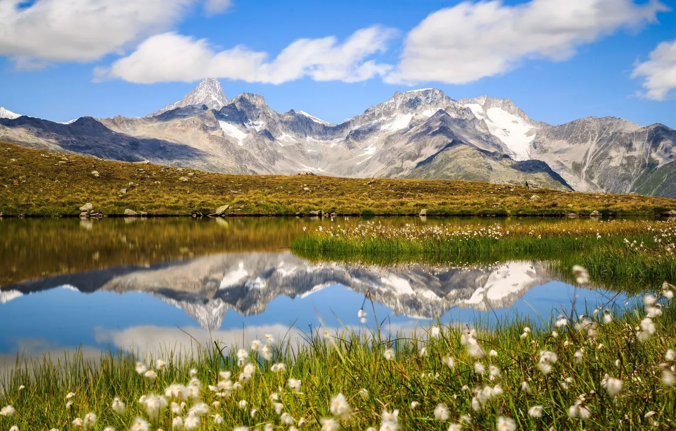 Photo wallpaper the sky, flowers, mountains