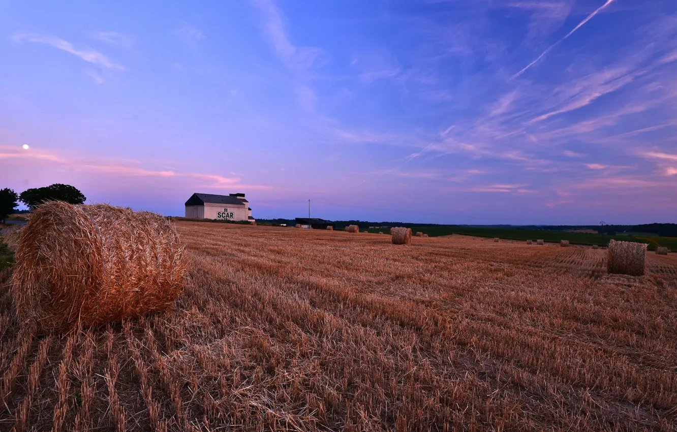 Photo wallpaper field, landscape, sunset, hay