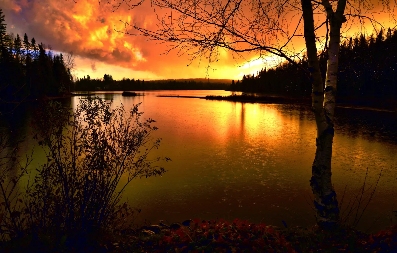 Photo wallpaper forest, trees, landscape, sunset, nature, lake, Canada, QC