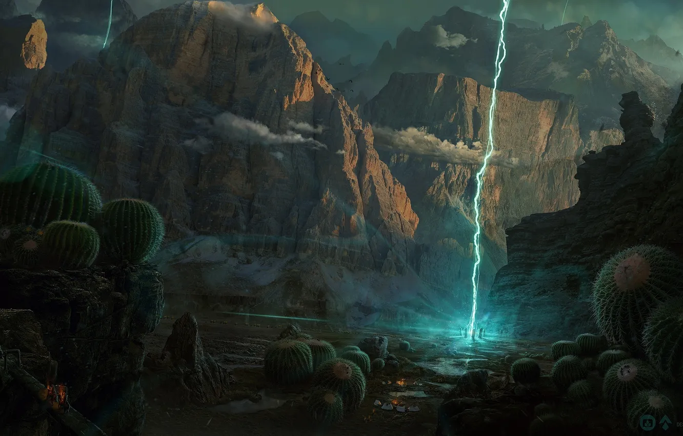 Photo wallpaper night, magic, people, cactus, desktopography