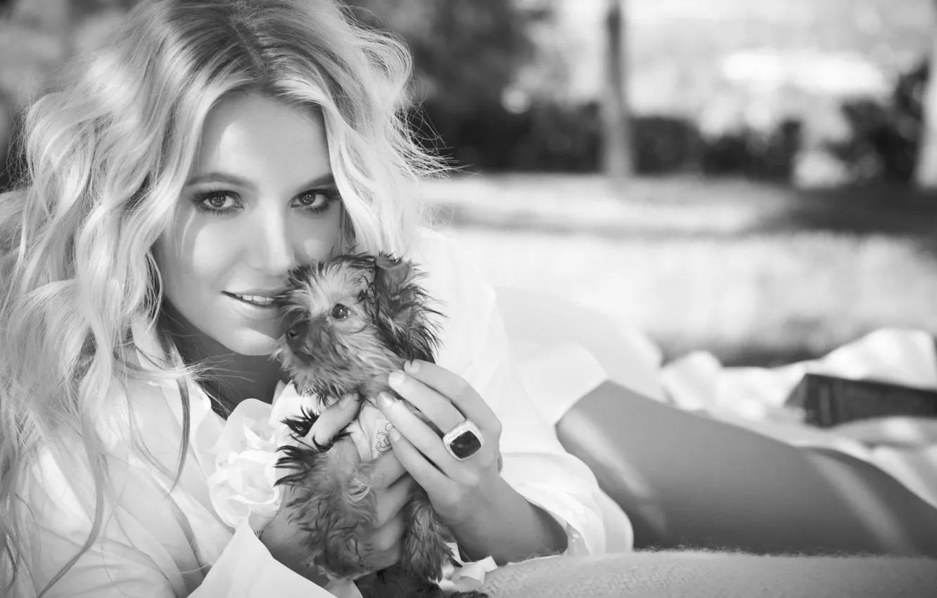 Photo wallpaper pose, blonde, puppy, singer, Britney Spears, Britney Spears