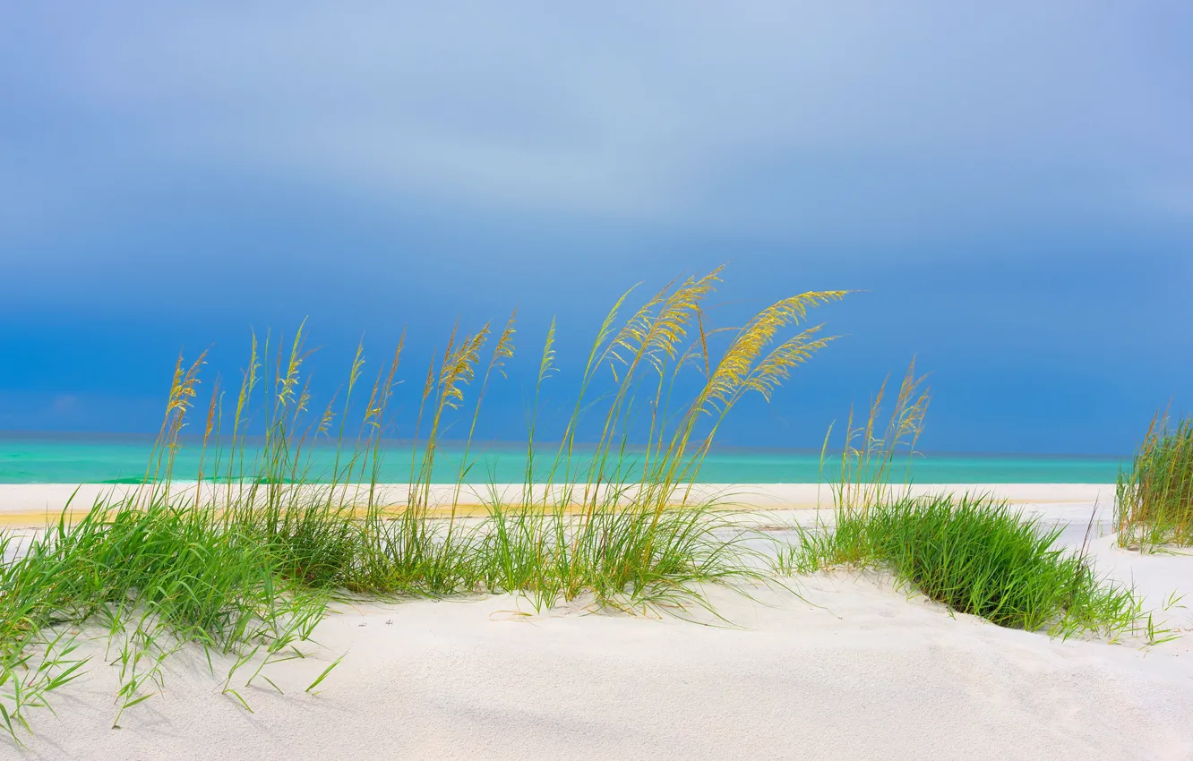 Photo wallpaper USA, Florida, Gulf of Mexico Beach