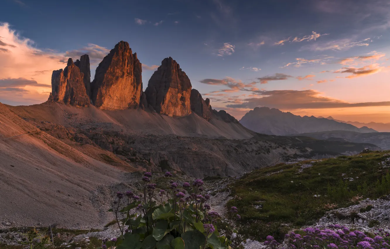 Photo wallpaper landscape, flowers, mountains, nature, dawn, vegetation, morning, Italy