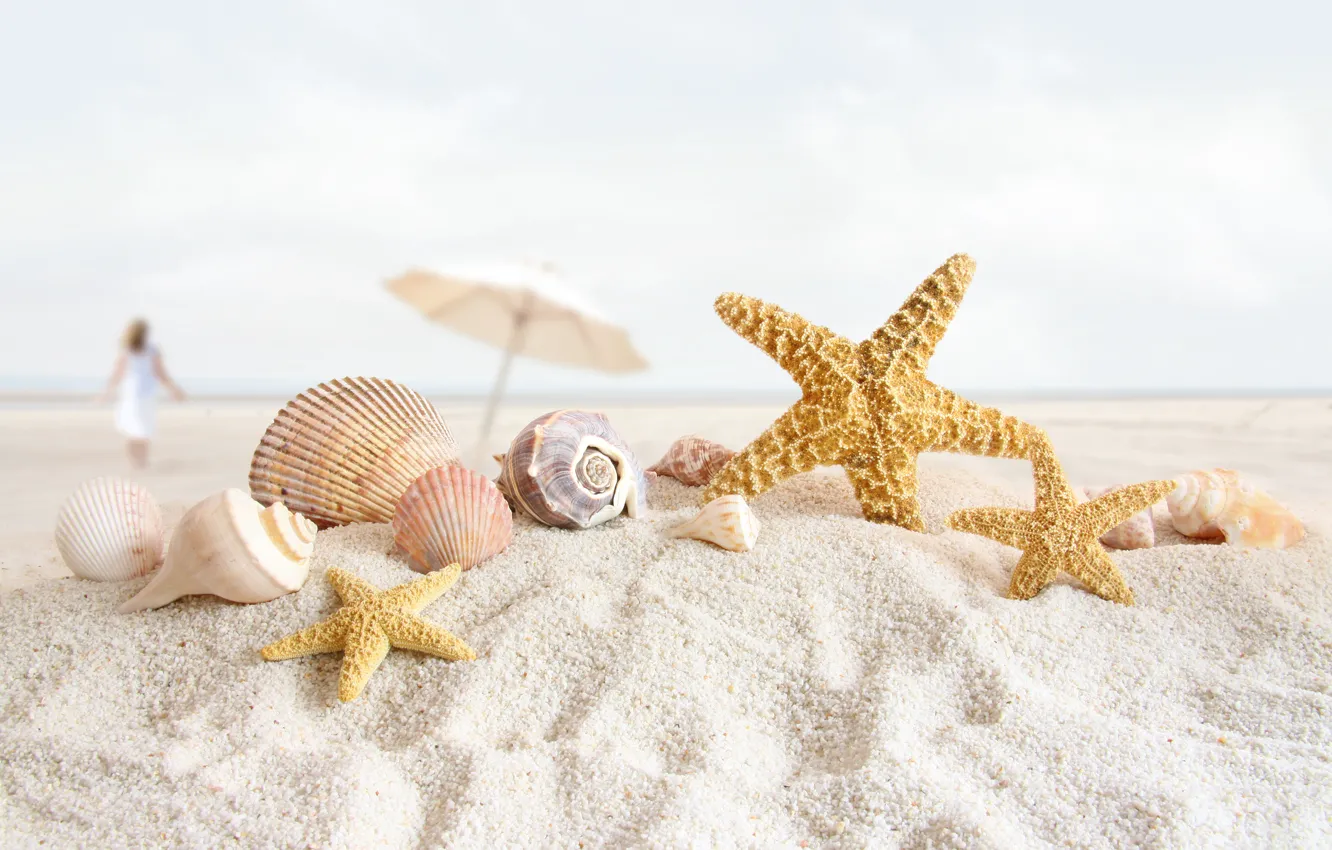 Photo wallpaper sand, beach, shell, starfish, shell