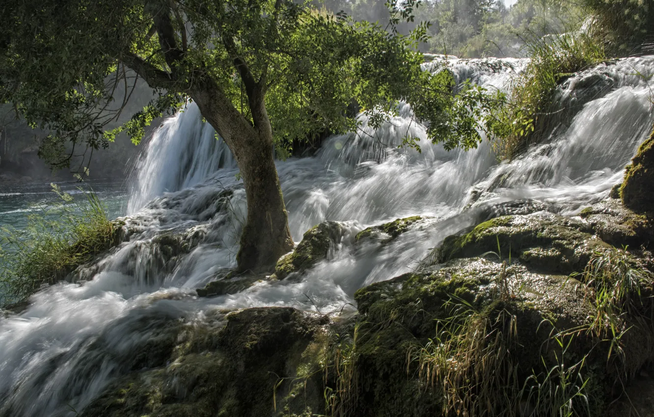 Photo wallpaper trees, nature, river, stones, waterfall, stream