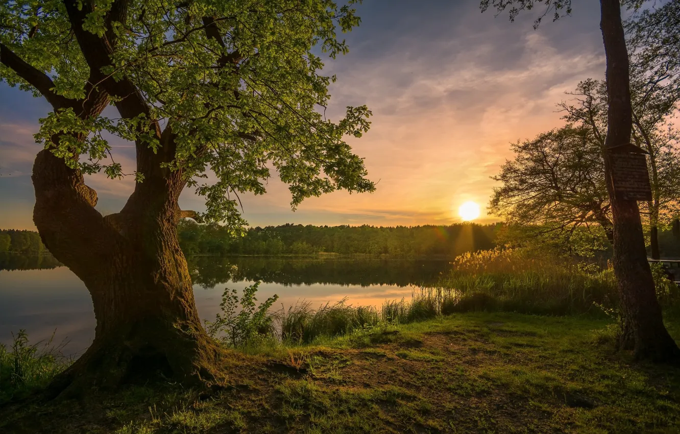 Photo wallpaper the sky, the sun, trees, sunset, nature, lake