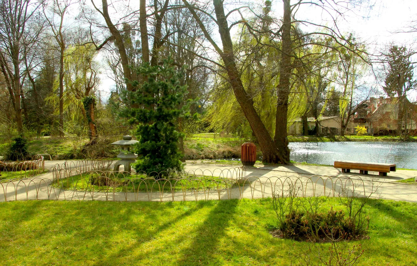 Photo wallpaper grass, trees, park, alley