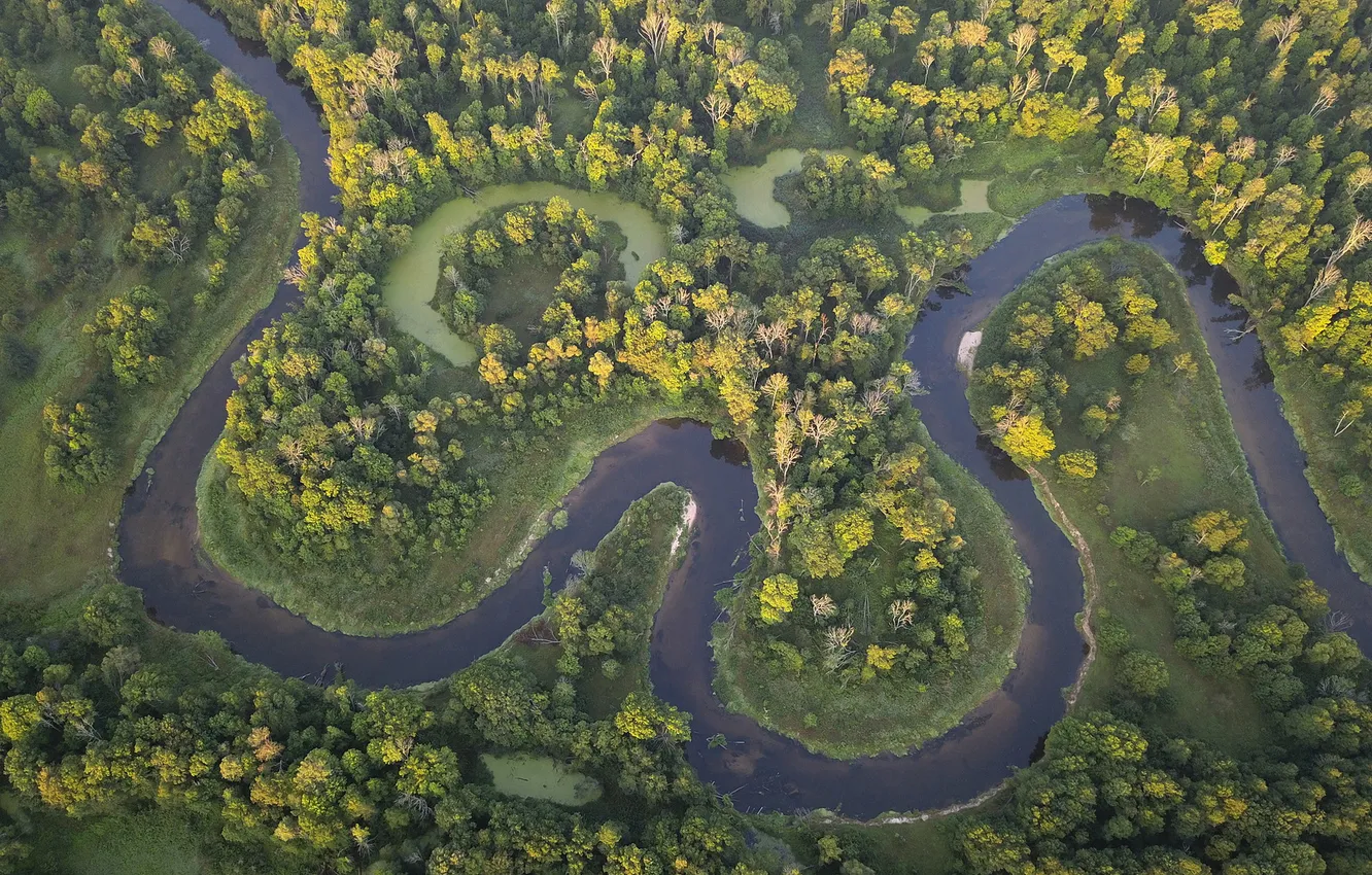 Photo wallpaper forest, trees, landscape, nature, river, plants, valley, the view from the top