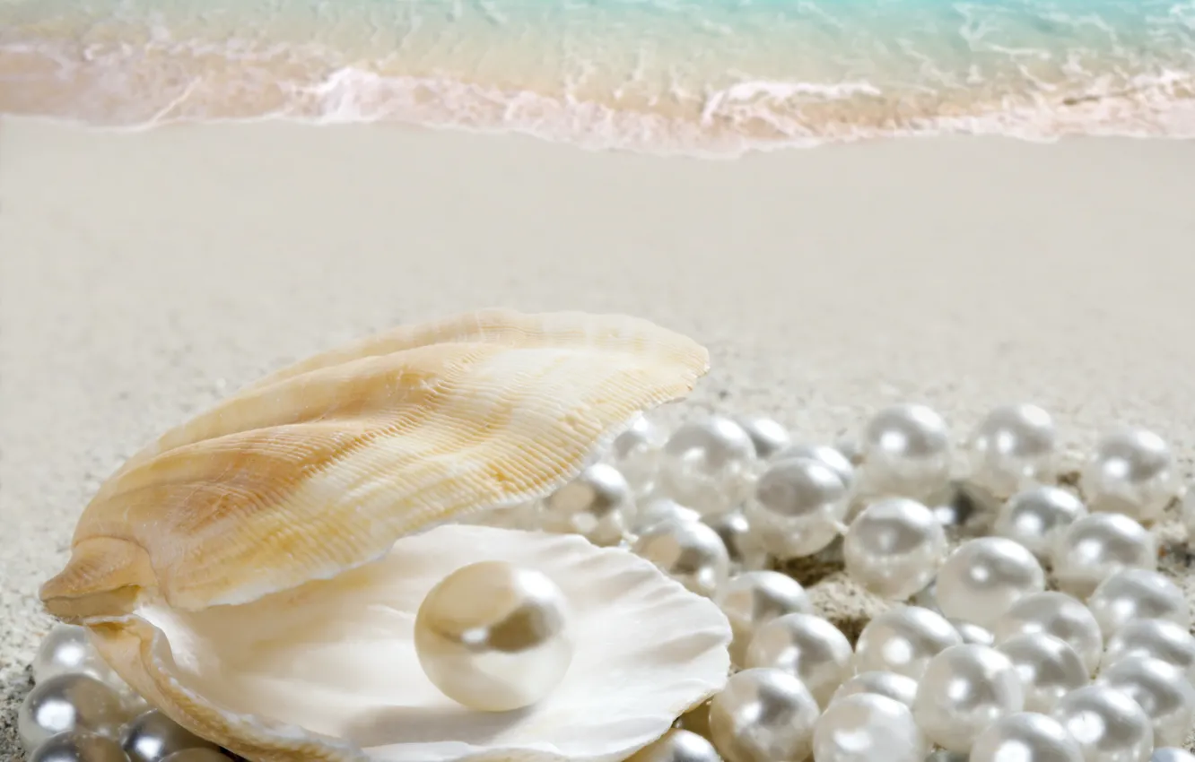 Photo wallpaper sand, sea, beach, shell, beach, sea, sand, shore