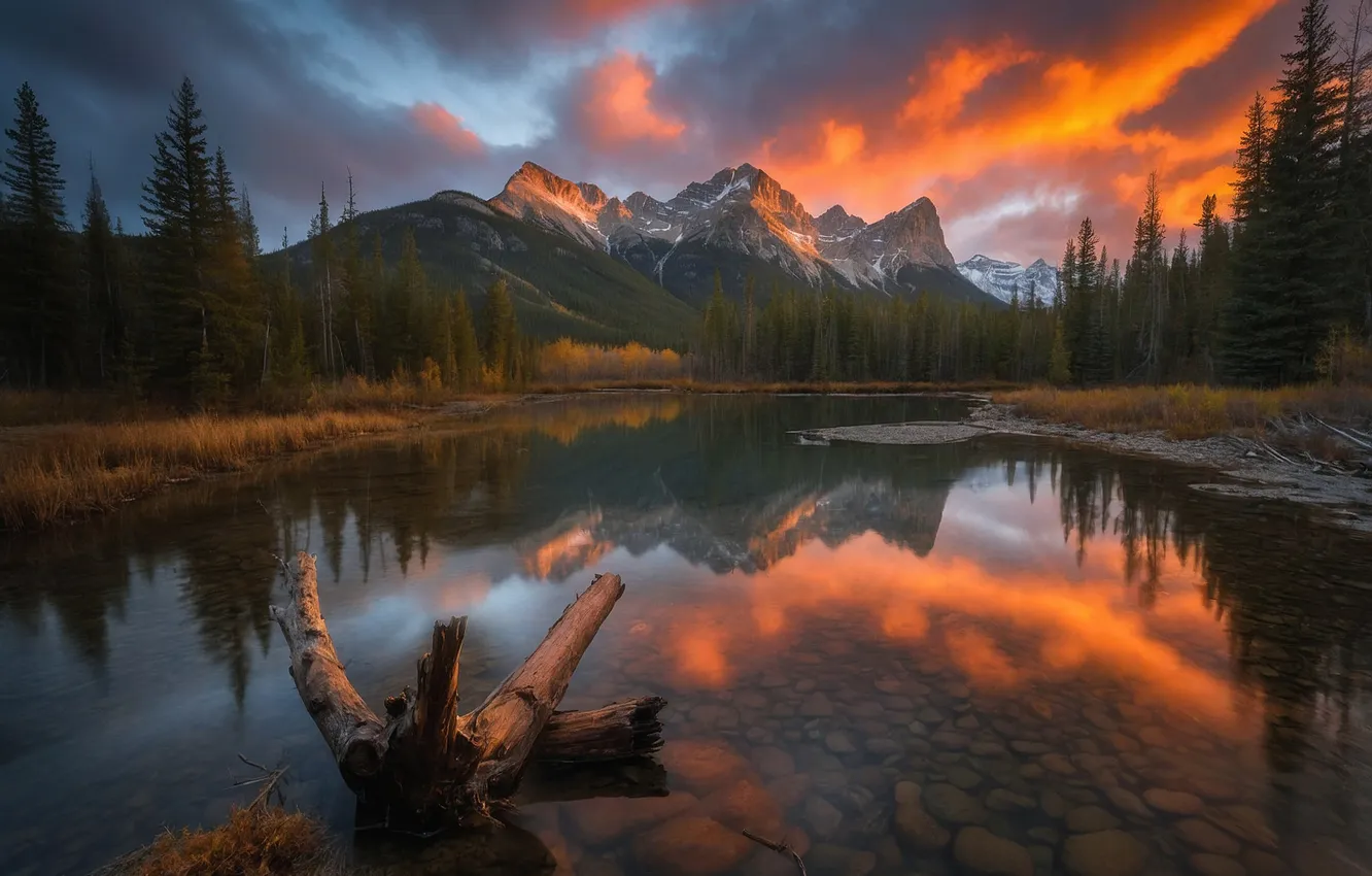 Photo wallpaper forest, clouds, sunset, mountains, lake, reflection, stones, tops