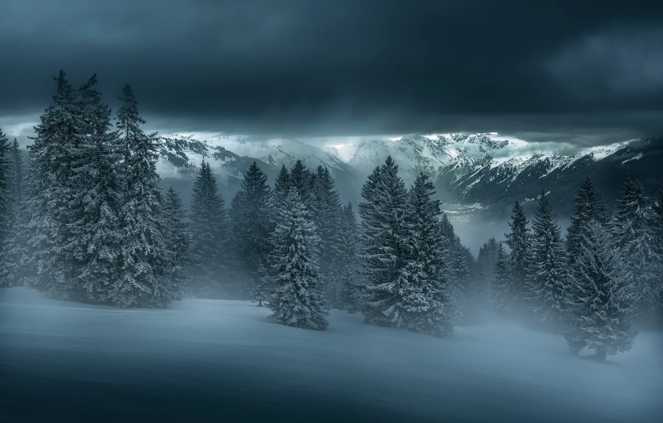 Photo wallpaper winter, forest, snow, mountains