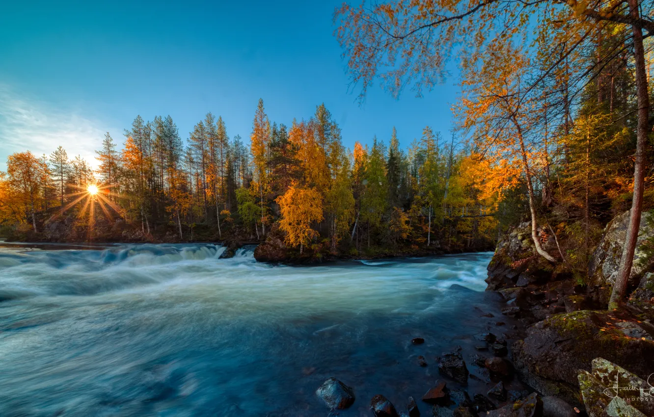 Photo wallpaper autumn, forest, trees, river, sunrise, dawn, Finland, Finland
