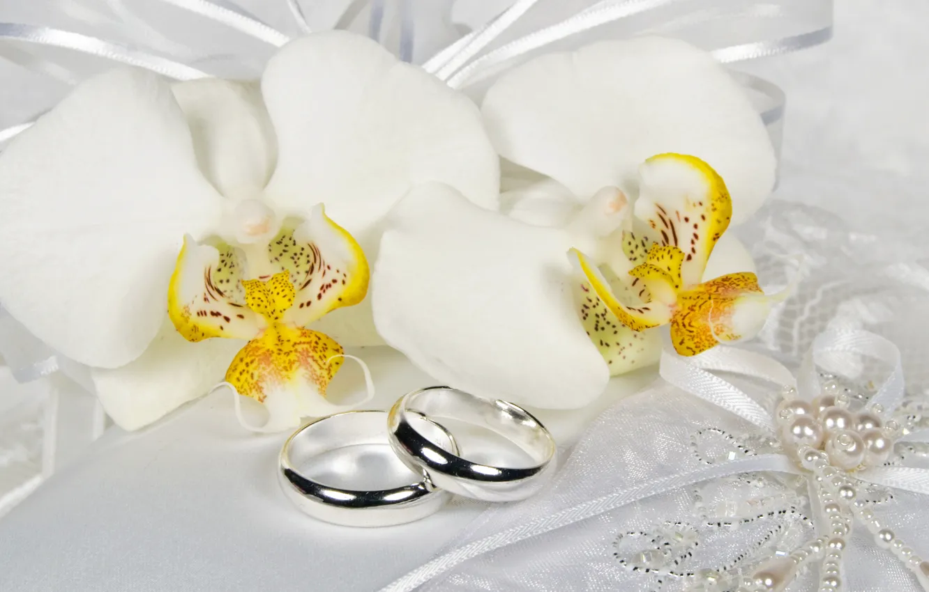 Photo wallpaper flowers, ring, lace, white, orchids, bow, Orchid, Jewelry