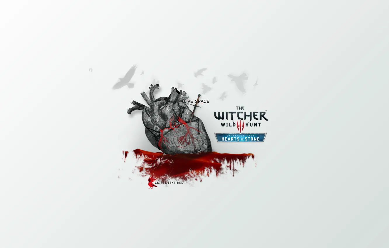 Photo wallpaper LiVE SPACE studio, The Witcher 1, CDPR, CDPROJEKT RED, Heart of stone, HoS