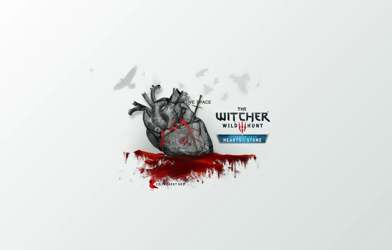 Photo wallpaper LiVE SPACE studio, The Witcher 1, CDProjekt RED, CDPR, HoS, Heart of Stone