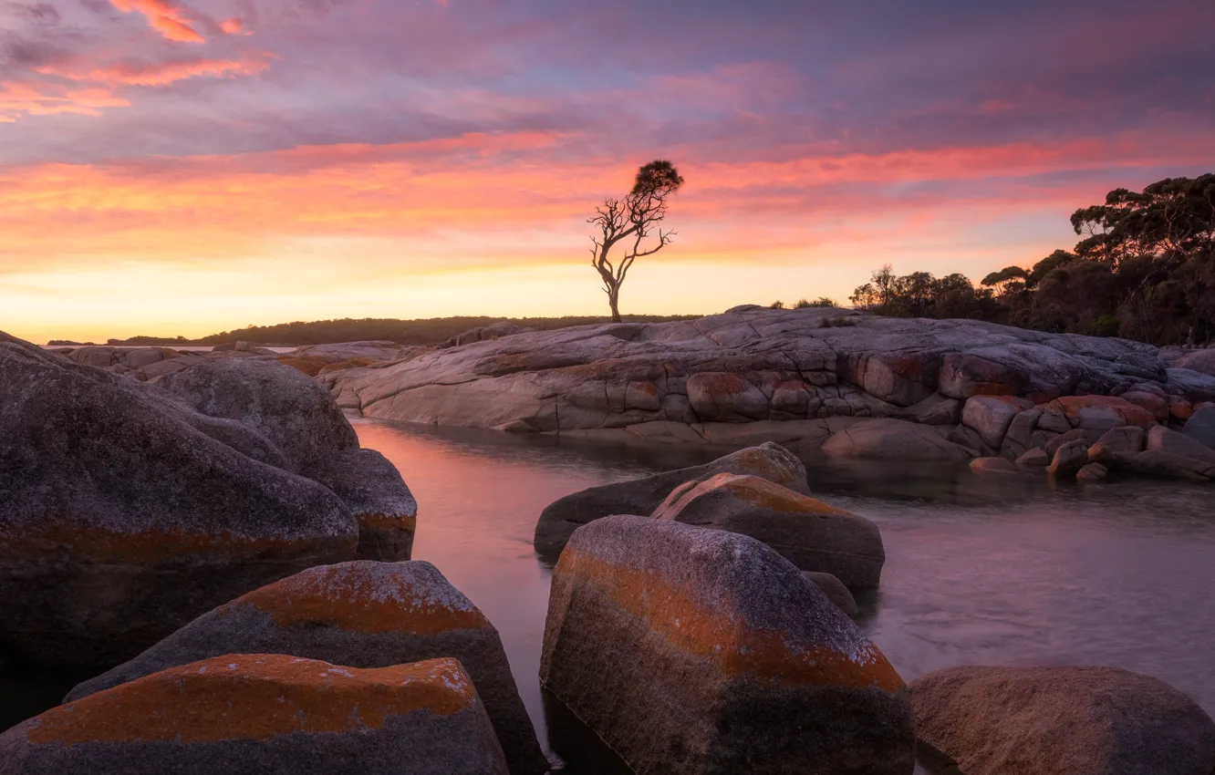 Photo wallpaper trees, sunset, stones, pond