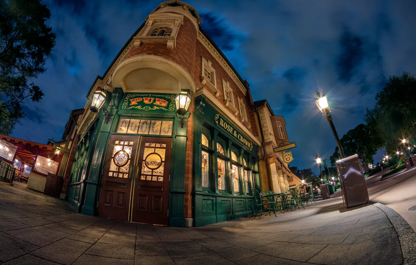 Photo wallpaper Lights, Night, The city, The building, Park, Disneyland