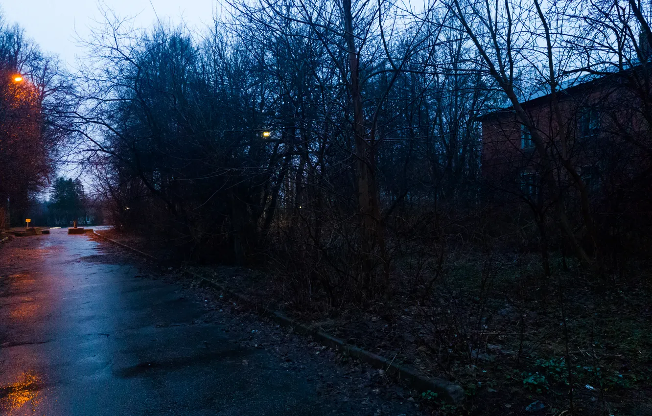 Photo wallpaper road, the sky, trees, branches, building, home, spring, the evening