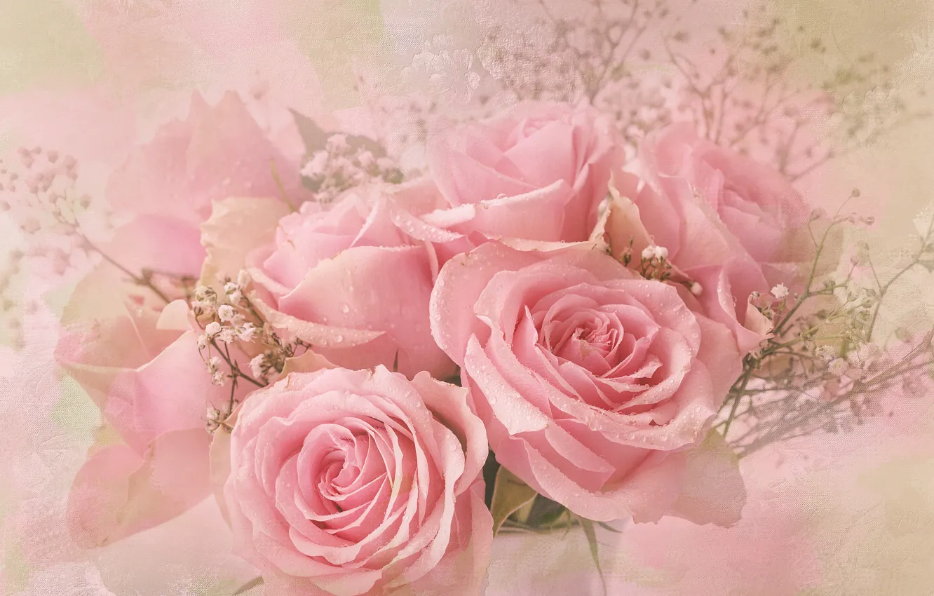 Photo wallpaper drops, roses, bouquet, pink