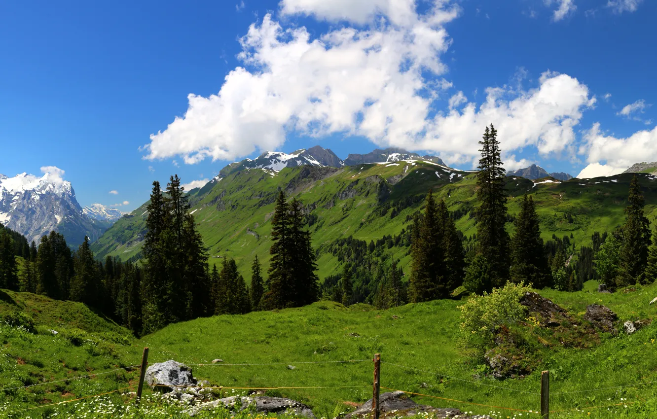 Photo wallpaper the sky, clouds, trees, mountains, Switzerland, Alps