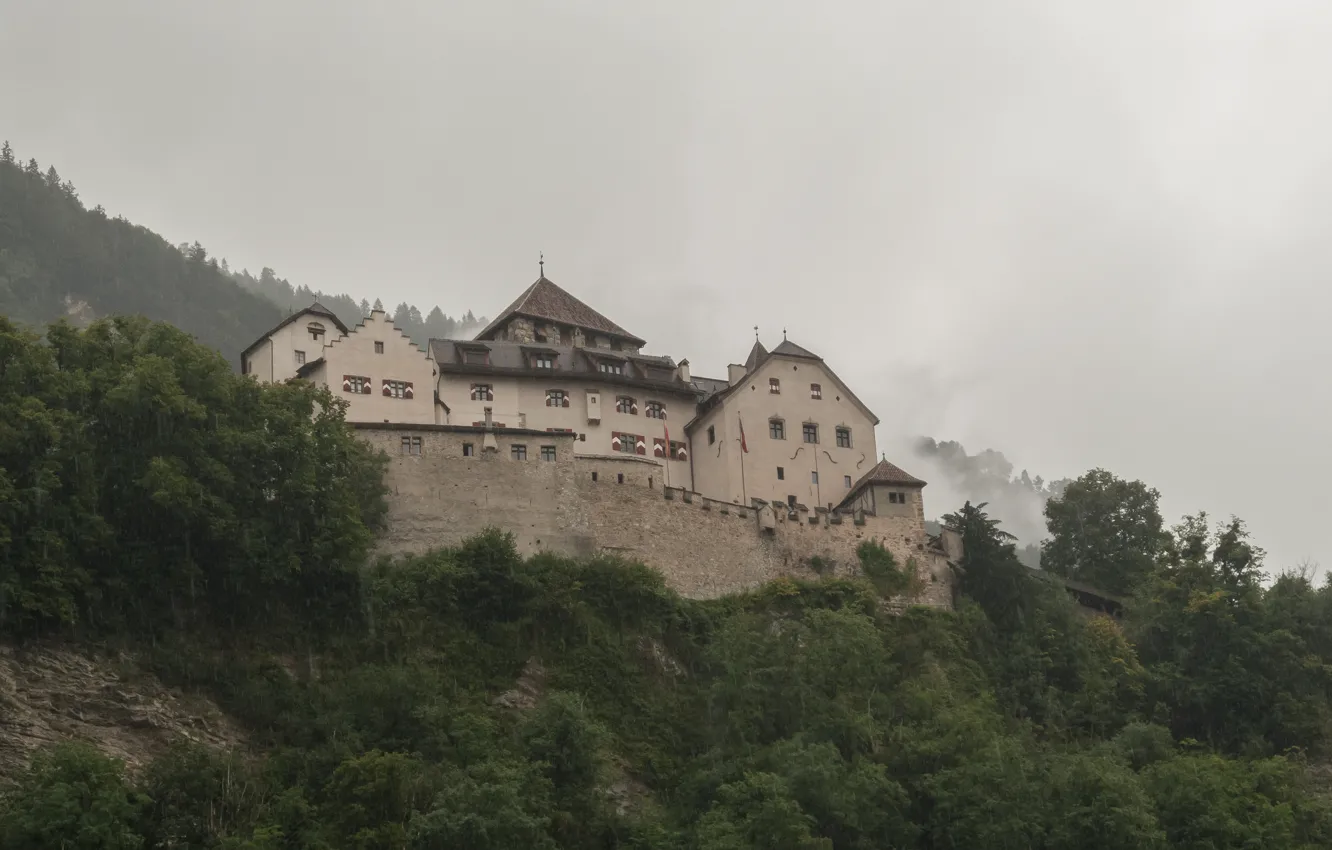 Photo wallpaper forest, the sky, trees, rain, overcast, Liechtenstein, Liechtenstein, Vaduz Castle