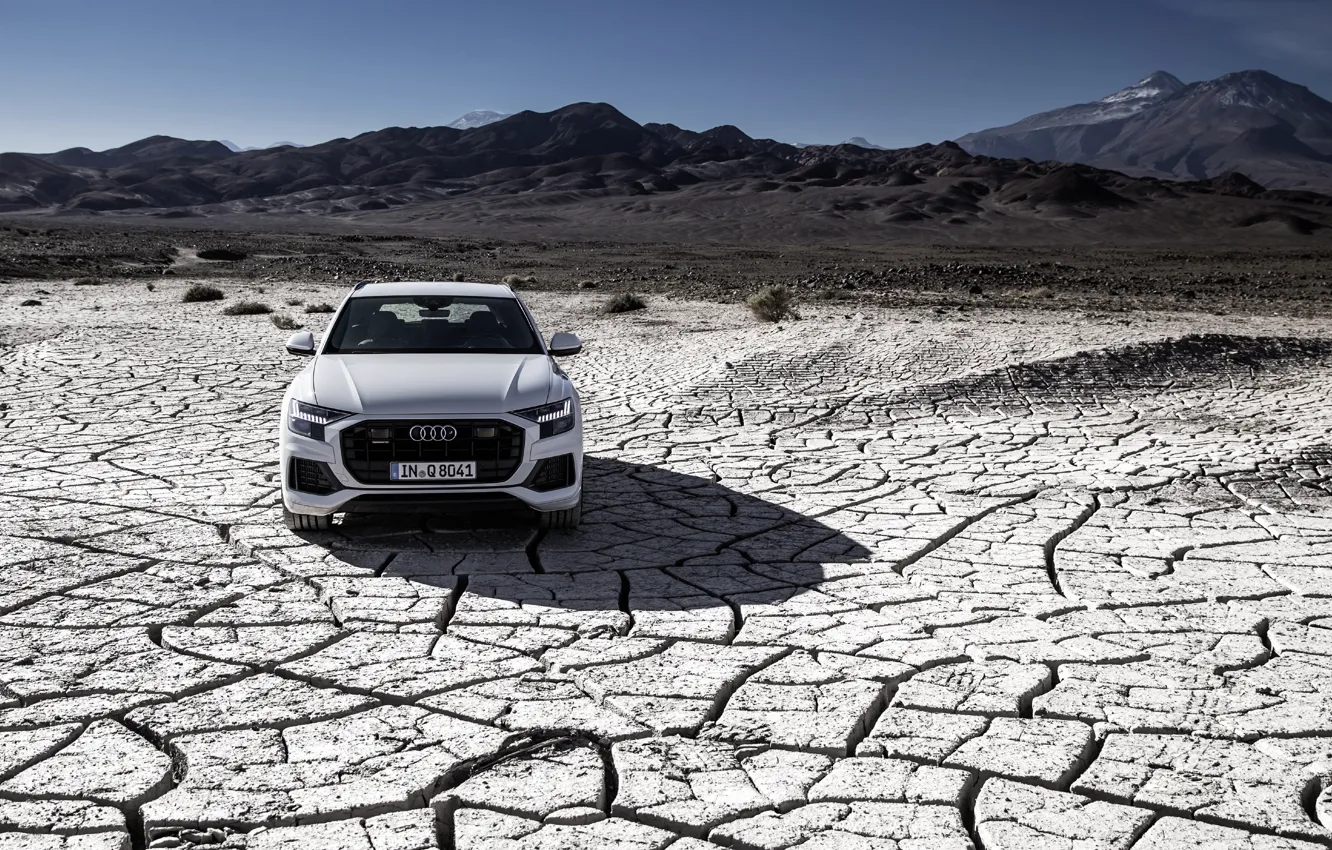Photo wallpaper quattro, 2018, crossover, 55 TFSI, Audi Q8