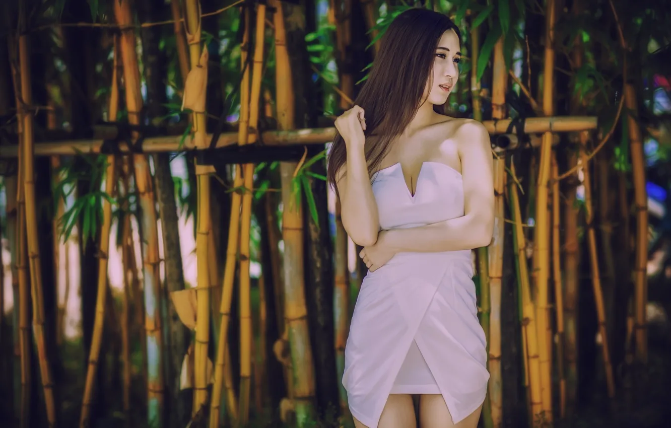 Photo wallpaper model, bamboo, dress, Asian