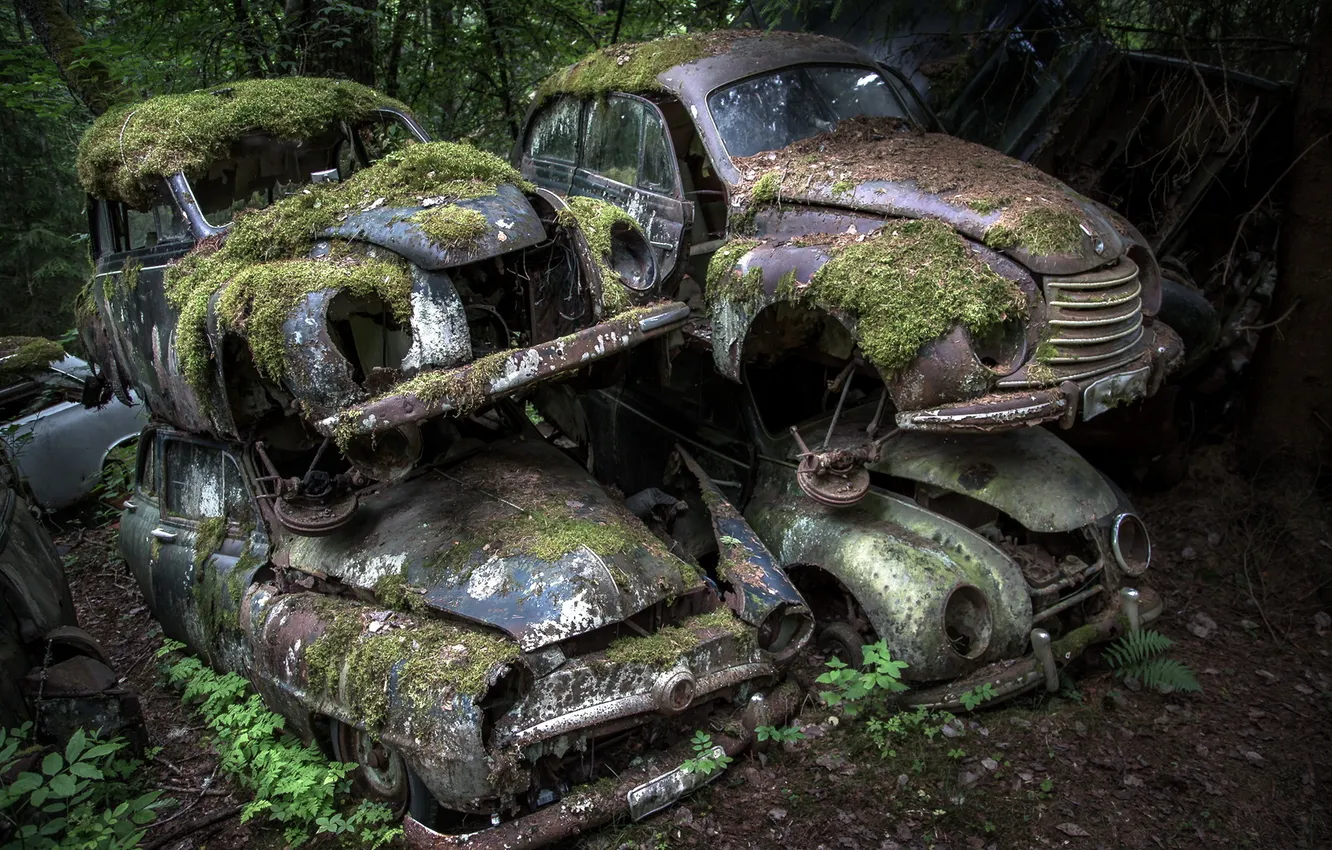 Photo wallpaper machine, background, scrap