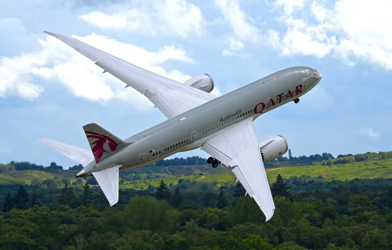 Photo wallpaper forest, the sky, the plane, the rise, jet, passenger, Dreamliner, Boeing 787