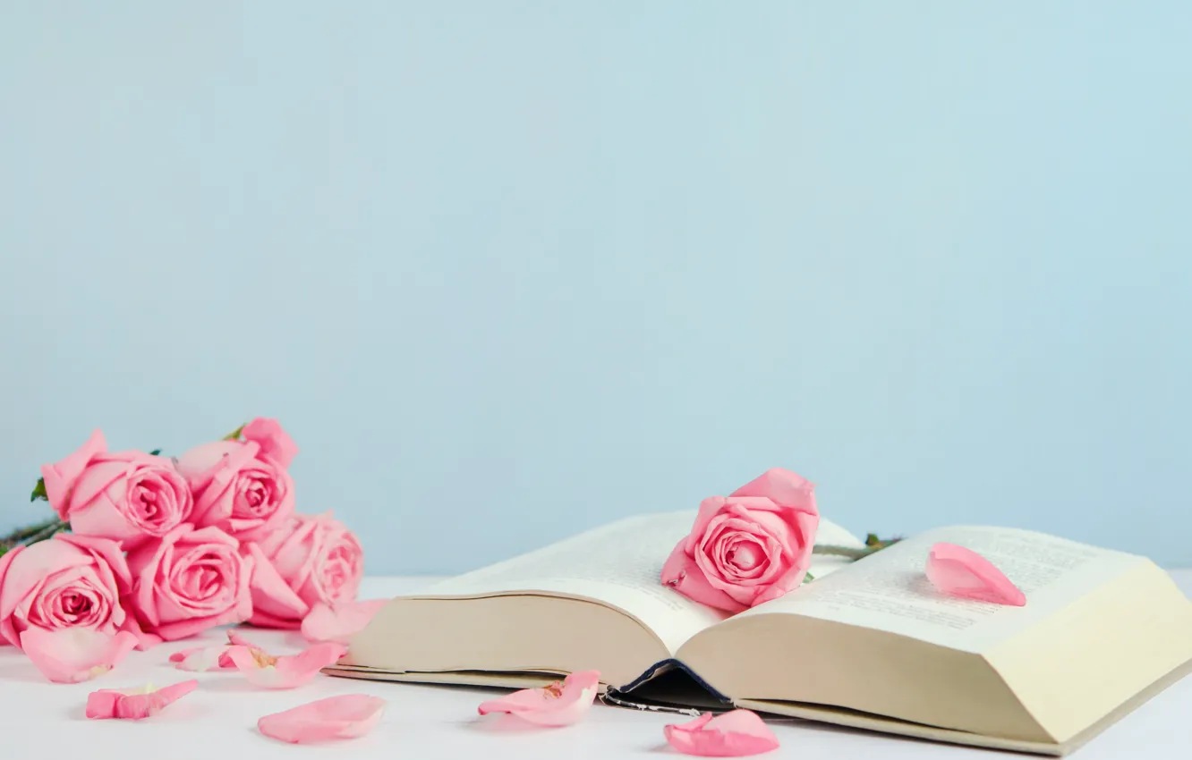 Photo wallpaper flowers, roses, petals, book, pink, buds, pink, flowers