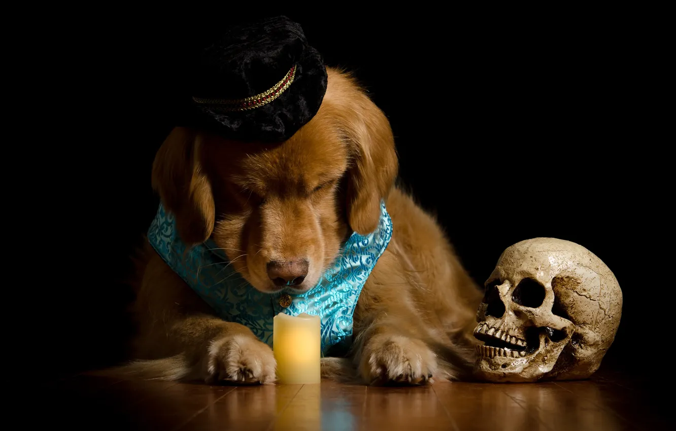 Photo wallpaper face, skull, portrait, dog, hat, candles, costume, black background