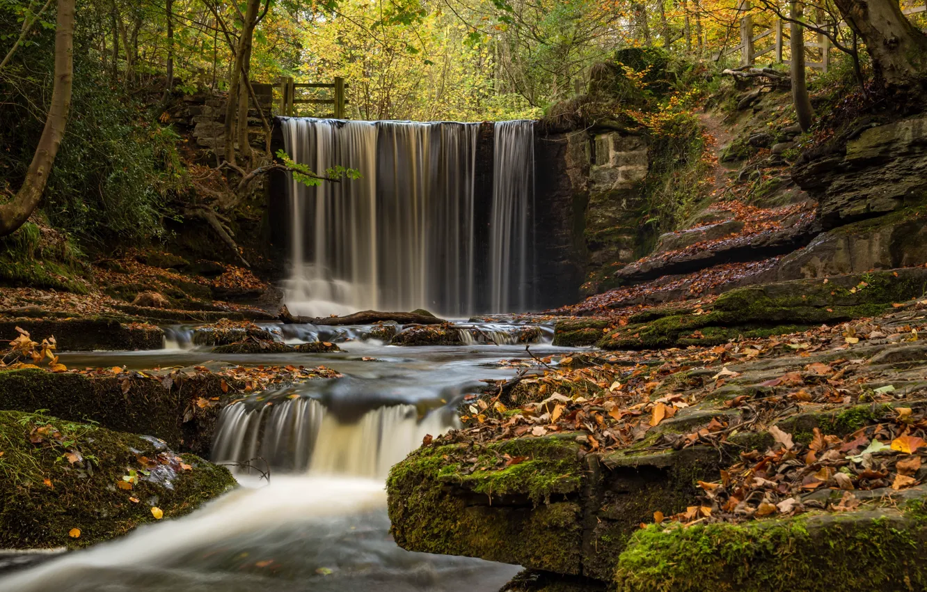 Photo wallpaper autumn, forest, leaves, rock, river, foliage, England, waterfall