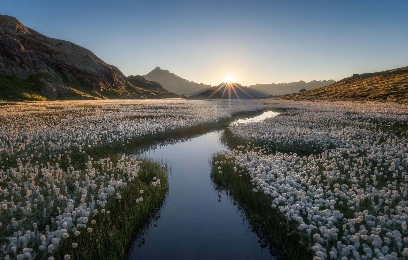 Photo wallpaper flowers, river, valley, landscape