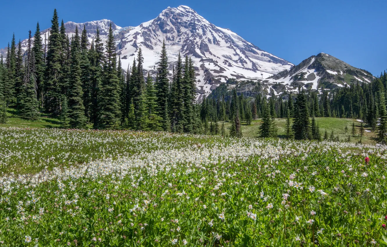 Photo wallpaper landscape, nature, beauty, panorama