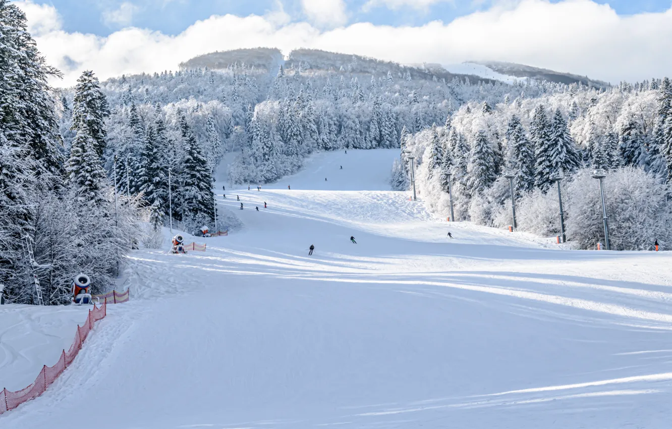 Photo wallpaper winter, snow, trees, landscape, mountains, tree, forest, landscape