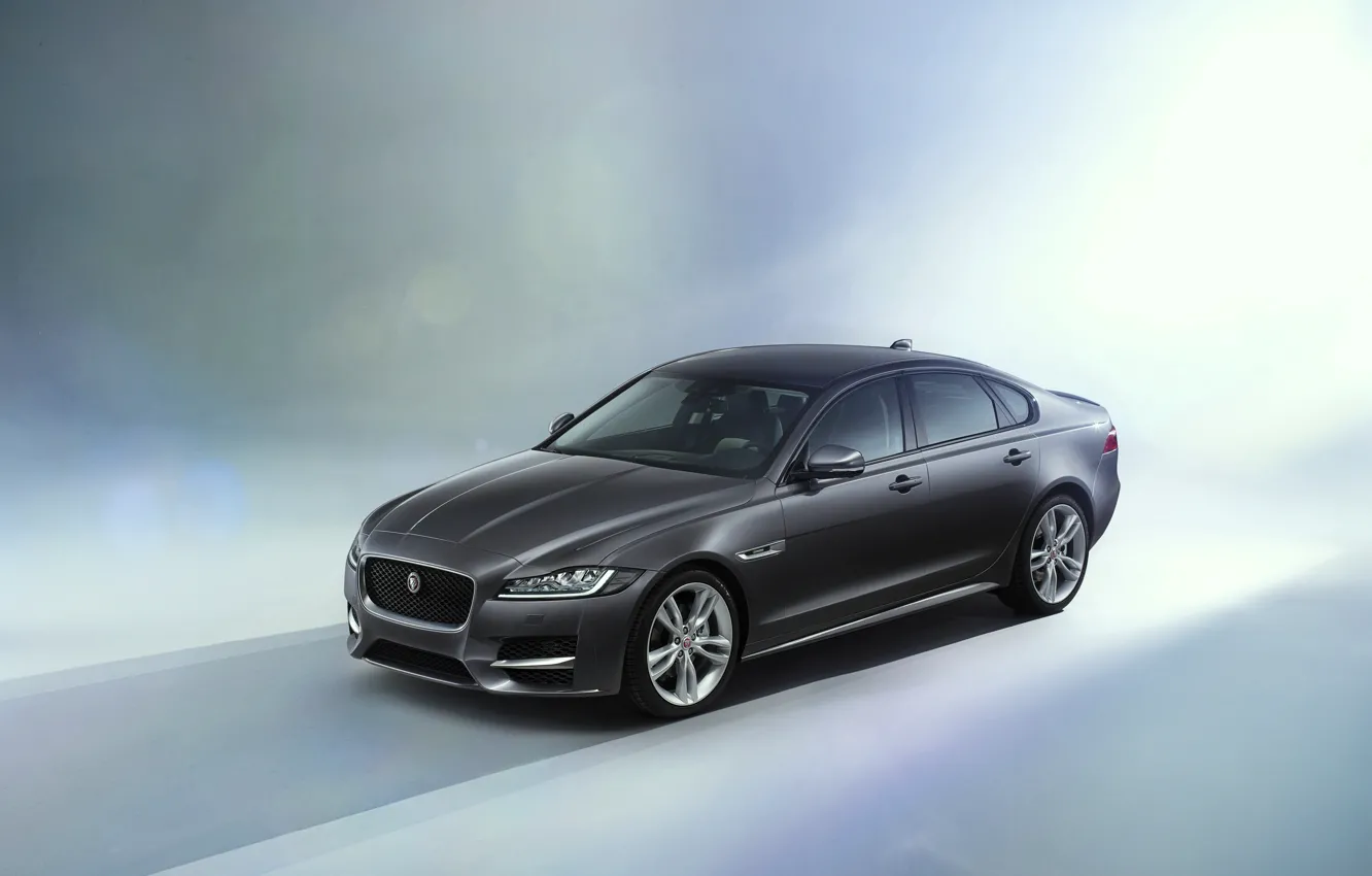 Photo wallpaper Jaguar, Jaguar, 2015